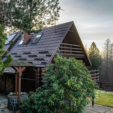 S Luxusnim Vyhledem A Bazenem Chalet